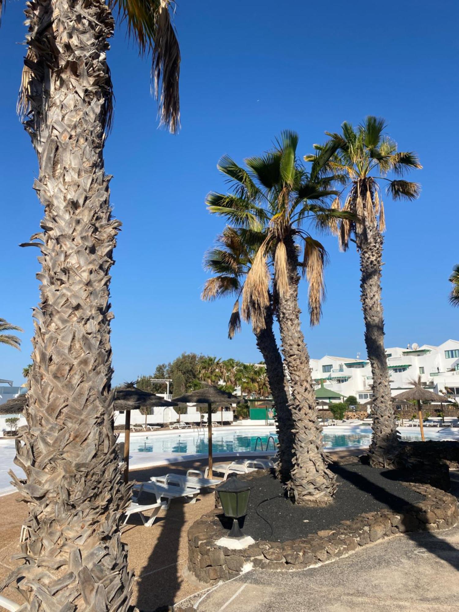 First Floor Apartment With Sea View, Costa Teguise Exterior photo